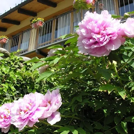 Il Giardino Di Iside فندق مبيت وإفطار Roletto